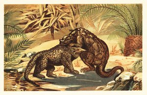 Battaglia tra un Megalosaurus bucklandii e un Iguanodon bernissartensis. 1908 (litografia) da Unbekannter Künstler