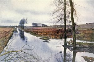 Battaglia della Marna, paludi di Saint Gond da Unbekannter Künstler