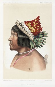 Capo Bororo, Sud America, c 1843-1847 da Unbekannt