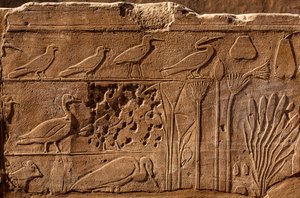 Giardino Botanico di Thutmosis III con rilievi di piante e animali, Tempio di Karnak, Luxor, Tebe, Egitto, Africa