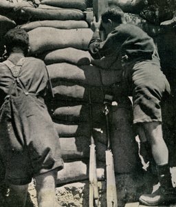 Truppe britanniche che combattono in pantaloncini kaki, Penisola di Gallipoli da Unbekannt