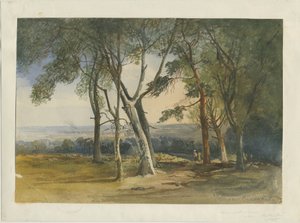 Cannock Chase da Unbekannt