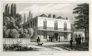 Chalk Farm da Unbekannt