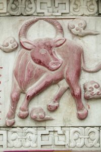 Segno astrologico cinese, Tempio della Nuvola Bianca, Pechino, Cina