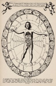 Corrispondenza tra microcosmo e macrocosmo. Tavola tratta da "Mundus subterraneus" di Athanase Kircher da Unbekannter Künstler