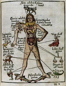 Cosmografia del XVI secolo: l