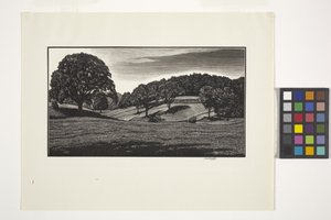 Scena di campagna da Unbekannter Künstler