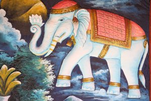 Elefante devoto, Siem Reap, Cambogia da Unbekannt