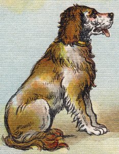 Cane. Incisione in "Alphabet de ma petite fille". Bernardin-Bechet e Fils, librai-editori, Parigi, circa 1895. Album infrangibile su tela. Bibliothèque des Bebes.