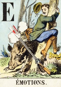 E : Emozioni - L