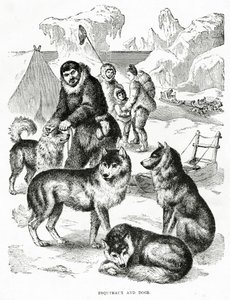 Esquimesi e cani. 1902 da Unbekannt