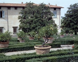 Veduta esterna della villa Medicea di Castello e giardino da Unbekannt