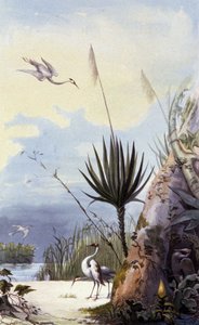 Ventaglio di canna