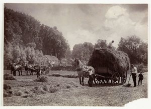 Scene di agricoltura, Raccolta e Conservazione, Fienagione, c 1890