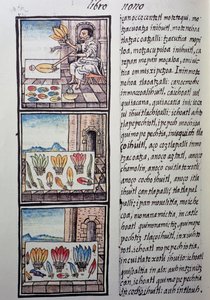 Lavorazione delle piume dopo la conquista spagnola, pagina dal Codice Fiorentino, versione bilingue in spagnolo e nahuatl, Storia generale delle cose della Nuova Spagna, del missionario spagnolo Fray Bernardino de Sahagun. Civiltà azteca