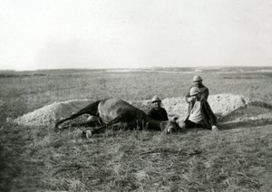 Prima Guerra Mondiale 14-18 (1914-1918): tre soldati francesi seppelliscono un cavallo morto - fotografia su lastra di vetro -