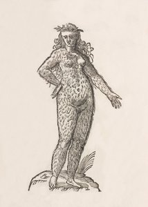 Foemina Cinnaminiae gentis da Unbekannt