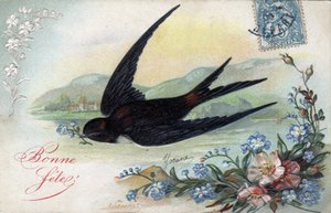 Cartolina di auguri di compleanno: Rondine che porta un fiore - Cartolina datata 1906