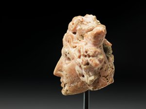 Testa di Medusa, da Bactria o Gandhara, II-I secolo a.C.