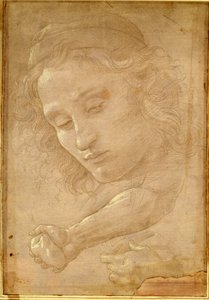 Testa di un giovane, disegno da una pagina di "Libro dei Desegni" di Giorgio Vasari da Unbekannt