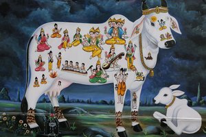 Dipinto indù. Sacra mucca e vitello da Unbekannt