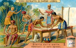 Storia della carta: papiro nell