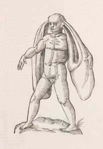 Homo fanesius auritus da Unbekannt