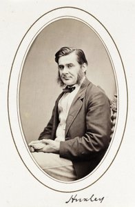 Huxley, c. 1865 da Unbekannt