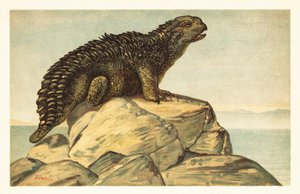 Hylaeosaurus armatus, dinosauro erbivoro estinto. 1908 (litografia) da Unbekannter Künstler