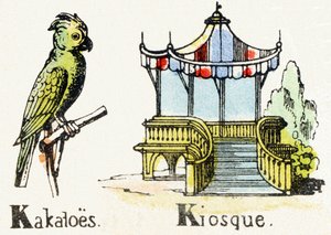 K - Cacatua Chiosco - Alfabeto dell