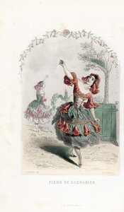 La fata del fiore di melograno danza - Acquaforte di Charles Geoffroy (1819-1882), basata su un