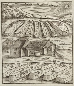Preparazione del salnitro - Incisione tratta da Descrizione dei minerali e dei principali metodi di sfruttamento minerario, di Lazarus Ecker