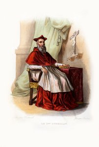 Il Cardinale du Bellay da Unbekannter Künstler
