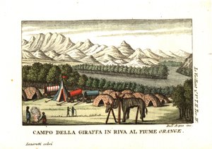 Il campo di Le Vaillant sulle rive del fiume Orange nel Richtersveld. Una pelle di giraffa è in fase di tassidermia su un telaio. Da Francois Le Vaillant (Levaillant da Unbekannter Künstler