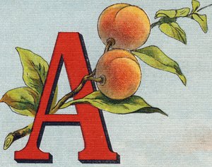 Lettera A: albicocca. Incisione in "Alphabet de ma petite fille". Bernardin-Bechet e Fils, librai-editori, Parigi, circa 1895. Album infrangibile su tela. Bibliothèque des Bebes. da Unbekannt