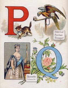 Lettere P e Q: gattino, persico, pappagallo e quenet, la fata giusta. Incisione in "ABC L
