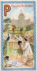 Lettera P: palazzo, padiglione, ombrello, fotografo, ponte, pesca, pavone, pensiero. Incisione dell