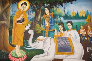 Vita del Buddha: Un elefante selvaggio domato dalla Gentilezza Amorevole, Siem Reap, Cambogia