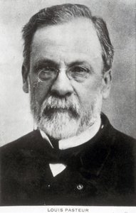 Louis Pasteur, chimico e microbiologo francese, c 1885