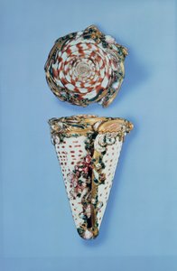 Tabacchiere d