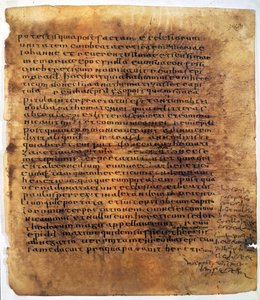 Rotolo di manoscritto: un palinsesto.