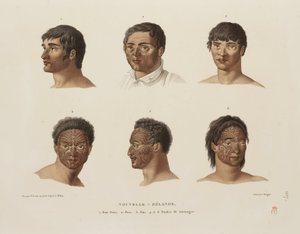 Tatuaggi Maori da Unbekannt
