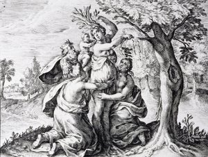 Mattei nelle metamorfosi di Ovidio