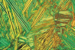 Micrografie (Luce) Bronzo di alluminio, micrografia a luce da Unbekannt