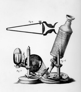 Microscopia