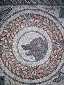 Mosaico del peristilio. Dettaglio che rappresenta la testa di un orso. III - IV secolo. Villa Romana del Casale, Sicilia. Sito UNESCO.