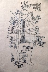 Museo della Medicina Tradizionale Vietnamita, I canali e i vasi, Libro di agopuntura, Ho Chi Minh City, Vietnam