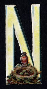 N come Nido. Decoupis di coleotteri sul tema degli animali. Incisione. Serie di 26 cromolitografie waffle di origine inglese. Editore e illustratore sconosciuti. Fine XIX secolo.