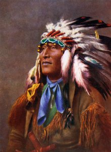 Nativo Americano in costume tradizionale (stampa)