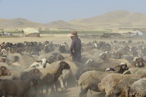 Tende Nomadi tra Tamar e Ashkhaneh, Iran 2022